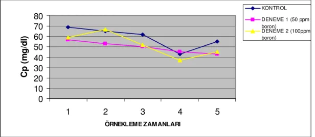 Grafik 3.2. Kontrol ve deneme grupları plazma seruloplazmin değerleri             01020304050607080 1 2 3 4 5 ÖRNEKLEME ZAMANLARICp (mg/dl) KONTROL DENEME 1 (50 ppmboron) DENEME 2 (100ppmboron)                       PARAMETRE                               