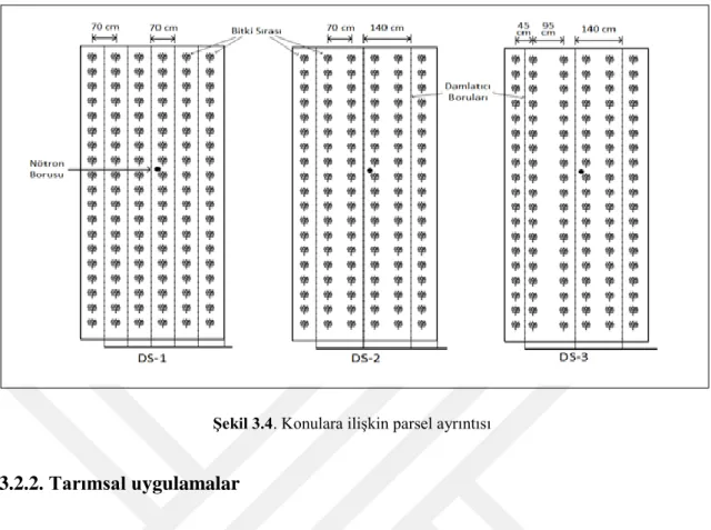 Şekil 3.4. Konulara ilişkin parsel ayrıntısı 