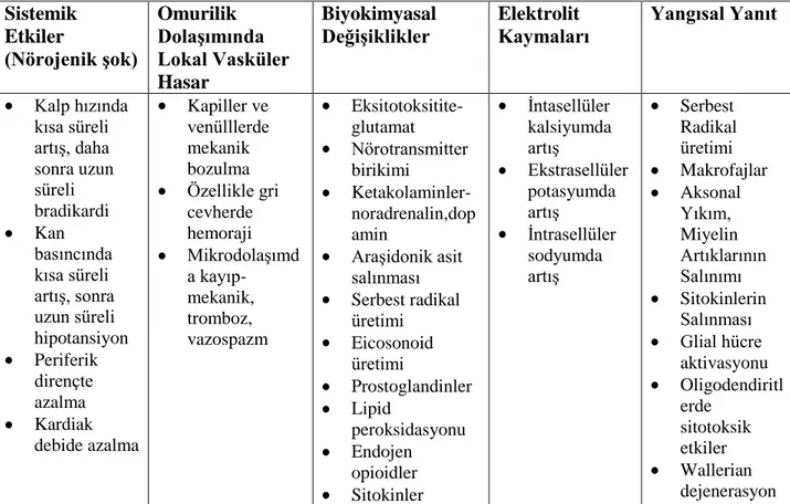 Tablo 2. 1. Sekonder yaralanma mekanizmaları  Sistemik  Etkiler  (Nörojenik şok)  Omurilik  Dolaşımında  Lokal Vasküler  Hasar  Biyokimyasal Değişiklikler  Elektrolit 