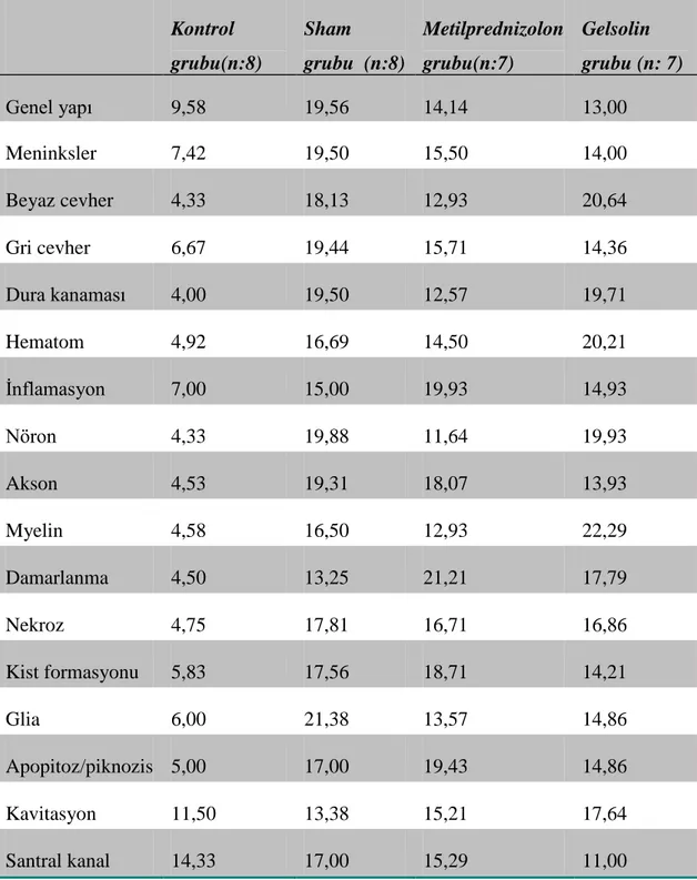 Tablo 4.2. Histopatolojik veriler   Kontrol  grubu(n:8)  (n:6)  Sham  grubu  (n:8)  Metilprednizolon grubu(n:7)  Gelsolin  grubu (n: 7)   Genel yapı   9,58  19,56  14,14  13,00  Meninksler  7,42  19,50  15,50  14,00  Beyaz cevher  4,33  18,13  12,93  20,64