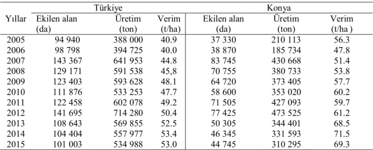 Çizelge 1.1. Türkiye ve Konya’da siyah ile sarı havuç ekim alanı ve üretim miktarları (TUİK, 2017) 