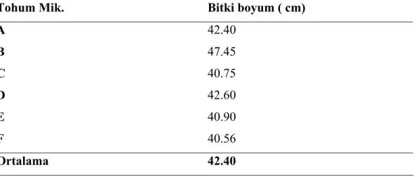 Çizelge 5.3. İtalyan Çiminde Kullanılan Tohum Miktarlarının Bitki Boyuna  Ait Ortalama Değerleri 