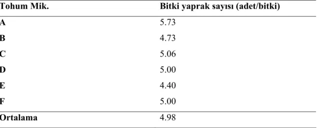 Çizelge 5.5. İtalyan Çiminde Kullanılan Tohum Miktarlarının Bitki Yaprak  Sayısına Ait Ortalama Değerleri 