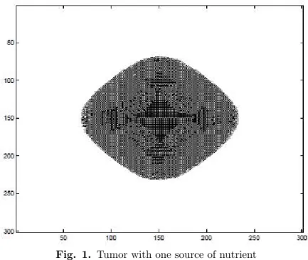 Fig. 1. Tumor with one source of nutrient