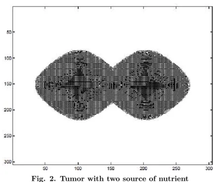 Fig. 2. Tumor with two source of nutrient