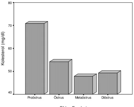 Şekil  5.  Follikül  sıvısı  kolesterol  düzeylerinin  seksüel  siklus  evrelerine  göre  değişimleri