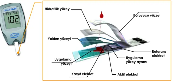 Şekil 1.1. Kandaki glikoz tayini için tasarlanmış ticari bir glikoz biyosensörü 