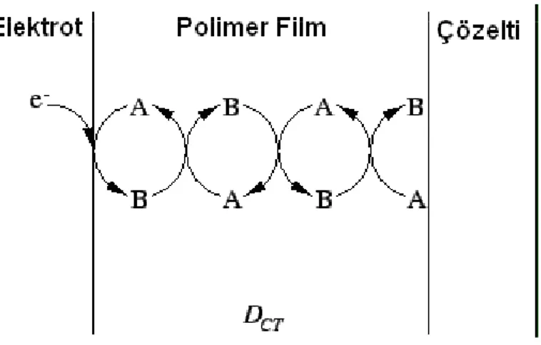 Şekil 5.1. Bir redoks polimer filmi boyunca yarı difüzyon kontrollü yük transferi aracılığı ile yük  yayılması (D CT :  difüzyonla yük transferi) (Kavanoz, 2004)
