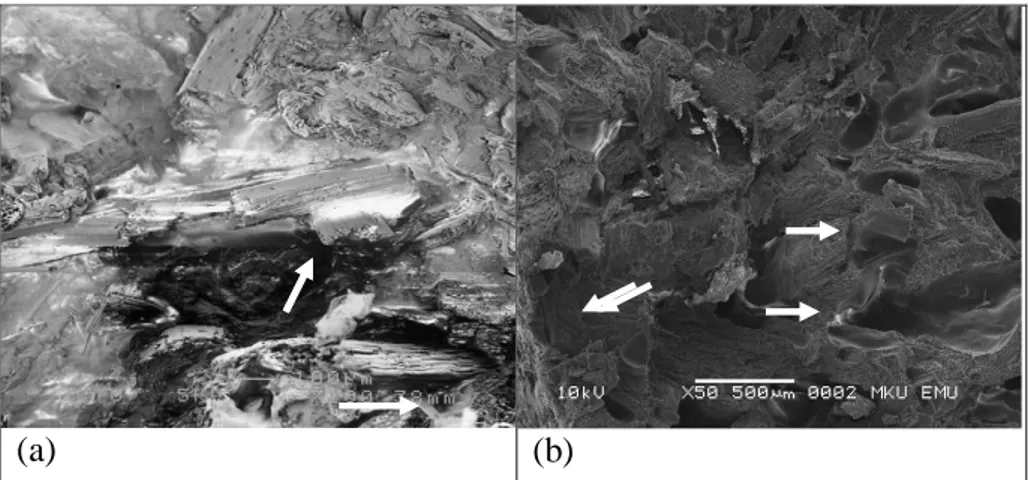 Şekil 1. Üretilen kompozit malzemelerin SEM görüntüleri a) YYPE + Buğday sapı unu  b) YYPE+ Okaliptüs odun unu