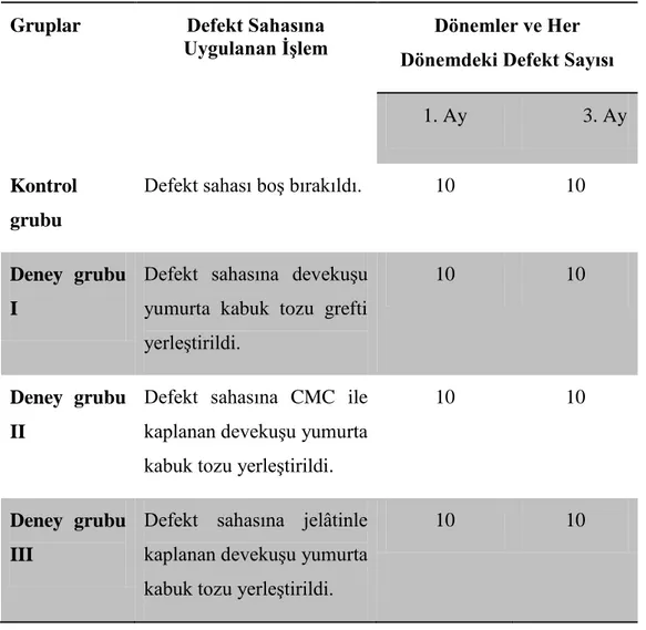 Çizelge  2.1.  ÇalıĢmada  oluĢturulan  gruplar  ve  bu  gruplaarda  oluĢturulan  defekt  sahaları