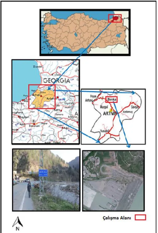 Şekil 1. Çalışma Alanı 