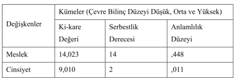 Tablo 4: Ki-kare Testi Sonuçları  Değişkenler 