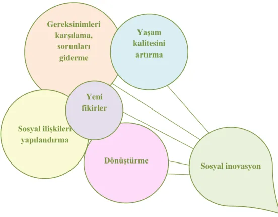 Şekil - 2: Sosyal İnovasyonun Unsurları 