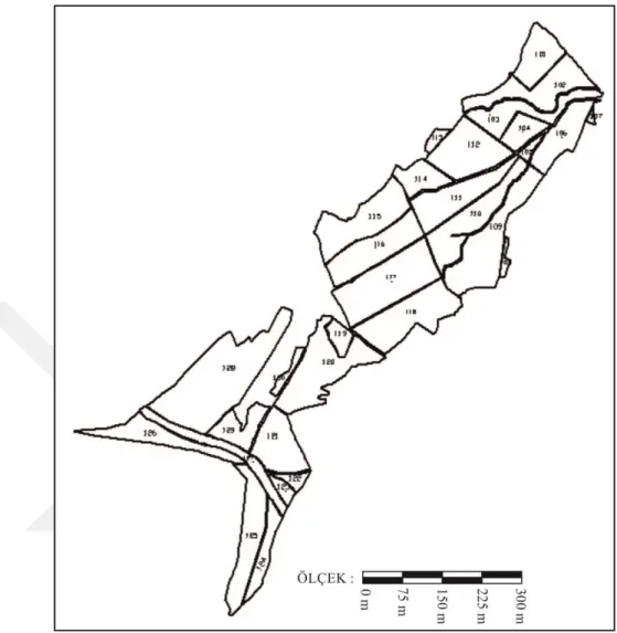 Şekil 3.7. Acıöz mahallesi blok planlaması 
