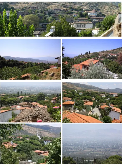 Figure  5.  Photographs  showing  the  natural  identity  of  the  settlement (K.Topçu, 2018) 