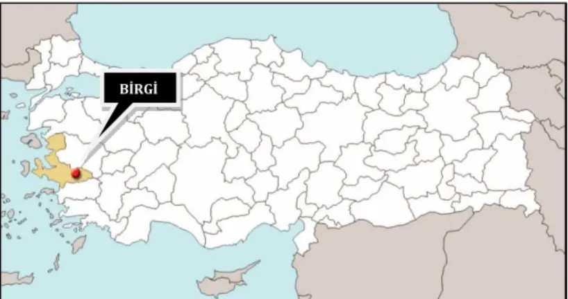 Figure  1.  Location  of  Birgi  in  its 