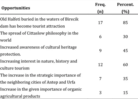 Table 5. Opportunities to continue Halfeti's sustainability as a slow city (max. 