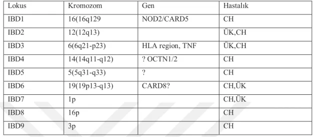 Tablo 3. İBH (IBD: Inflamatory bowel diseases) ile ilgili genler