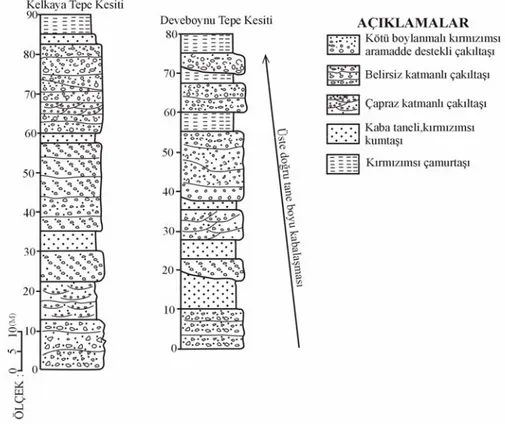 Şekil 3. Çaykavuştu formasyonundan ölçülmüş stratigrafik kesitler. 