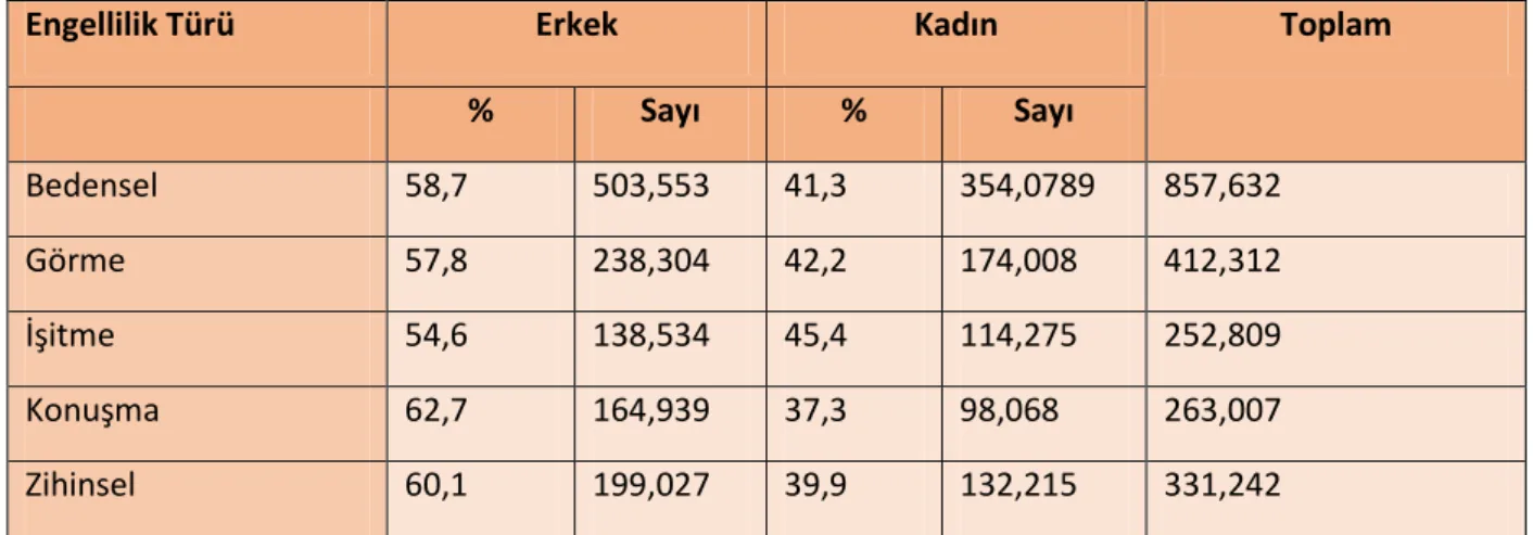 Tablo 6: Türkiye’deki Engellilerin, Engel Türleri ve Sayıları 