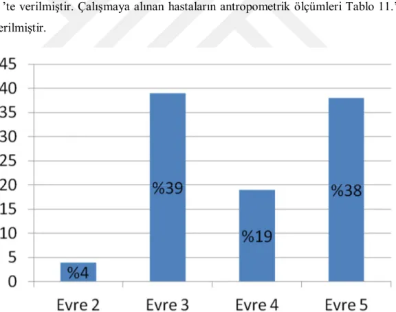 Şekil 3. Hastaların kronik böbrek hastalığı evresi dağılım grafiği.