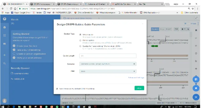 Figure 2.4. Image Show annotations tab for selecting exon on amino acids. 