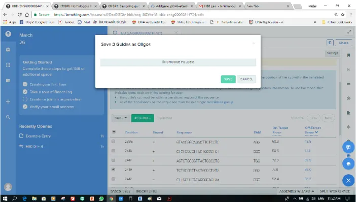 Figure 2.10. Image Show one of the selected gRNAs which saved in a clipboard. 