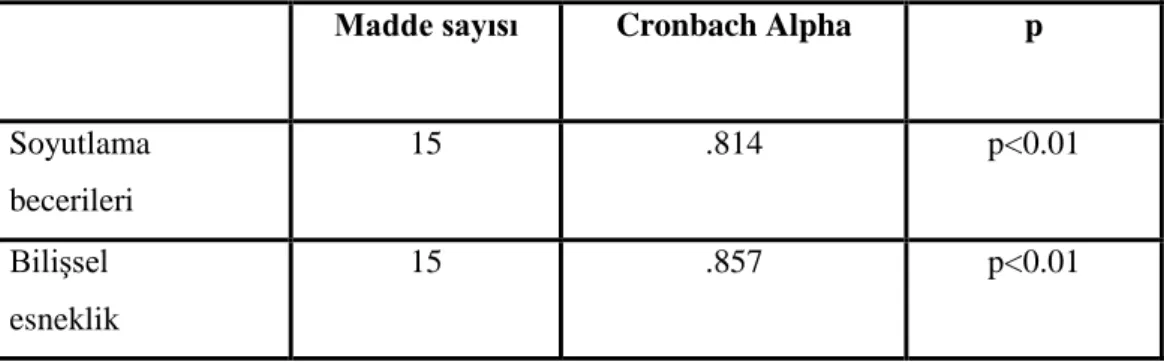 Tablo  incelendiğinde  testin  Cronbach  Alpha  değeri  soyutlama  becerileri  alt  boyutu  için .814 ve bilişsel esneklik alt boyutu için .857’ olarak hesaplanmıştır