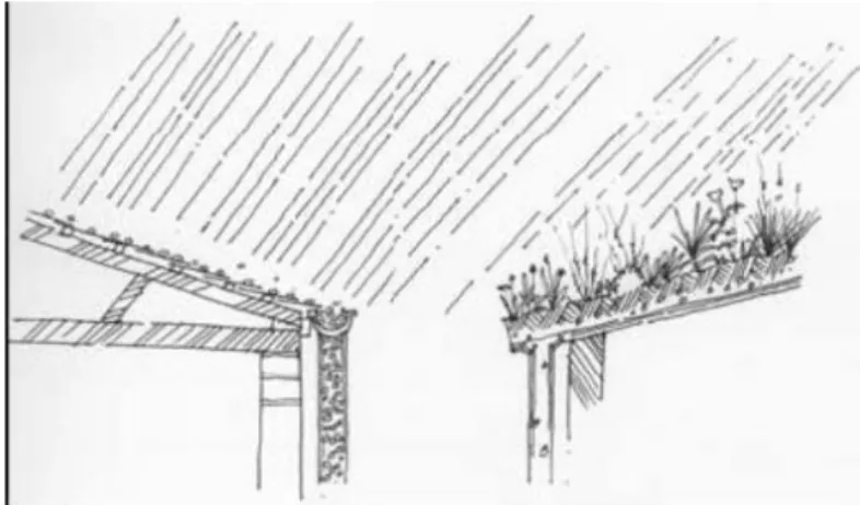 Şekil 2.37. Geleneksel çatı ve yeşil çatı yağmur suyu karşılaştırması (Aytin ve Ovalı, 2016) 