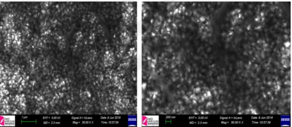 Şekil 4.13. Döngüsel olarak kaplanan 1 mg doğal sepiyolit içeren filmlerin SEM görüntüleri 