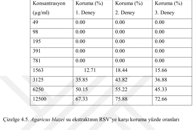 Çizelge  4.4.  Agaricus  blazei  metanol  ekstraktının  RSV’ye  karşı  koruma  yüzde  oranları  Konsantrasyon  (µg/ml)  Koruma (%) 1
