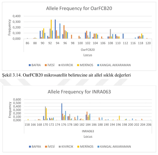 Şekil 3.15. INRA063 mikrosatellit belirtecine ait allel sıklık değerleri 
