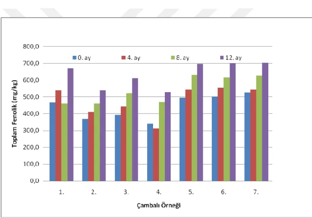 Çizelge  4.3’te  belirtildiği  gibi  toplam  fenolik  madde  üzerine  bal  çeşidi  ve  depolama  periyodunun  etkisi  p&lt;0.01  düzeyinde  önemli  olduğu  tespit  edilirken,  bal  çeşidi-depolama periyodu interaksiyonu istatistiki açıdan önemli bulunmamış