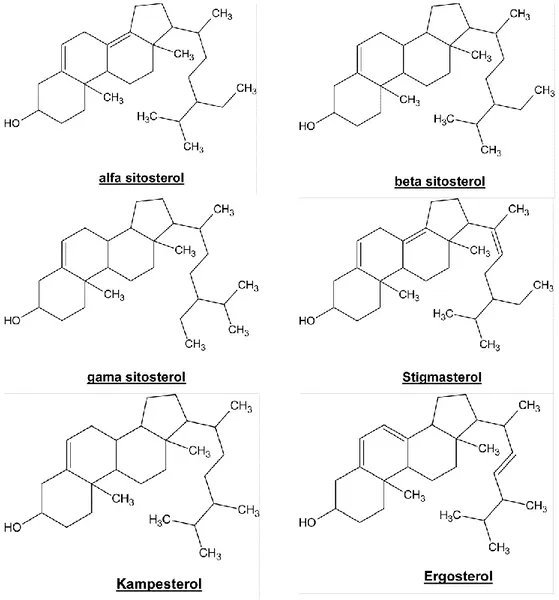 ġekil 1. 7. Bitkisel yağlarda mevcut bazı sterol türlerine ait kimyasal yapılar 