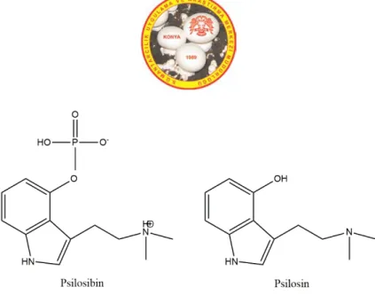 Şekil 4. Psilosibin ve psilosin 