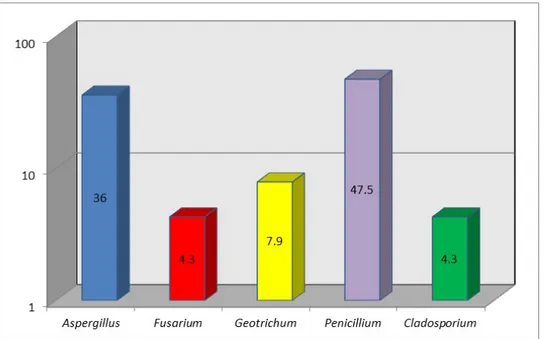 Şekil 2. Bursa ve Samsun illerinde 2012-2013 yılları arasında izole edilen fungus cinslerinin   yüzde oranları 