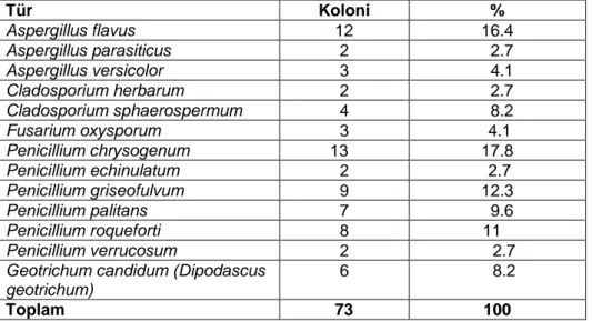 Tablo 3. Bursa ilinde 2012- 2013 yılları arasında izole edilen toplam mikrofungus türlerinin  koloni sayısı ve yüzde oranları   