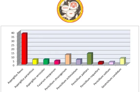Şekil 4. Samsun ilinde 2012-2013 yılları arasında izole edilen toplam mikrofungus türlerinin yüzde oranları  Tartışma ve Sonuç 