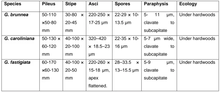 Table 1. Comparisons of G. brunnea, G. caroliniana and G. fastigiata based on macroscopic and microscopic characters