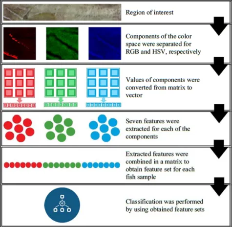 Figure 7. Phases of feature extraction. 