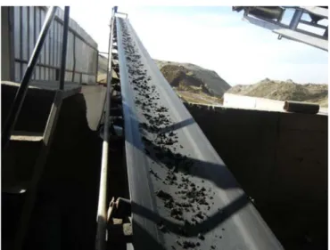 Figure 1: Concentrated chromium particles. 