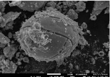 Figure 5. (a) SEM micrograph for Zn 0.4 Cd 0.4  at 1500x magnification. 