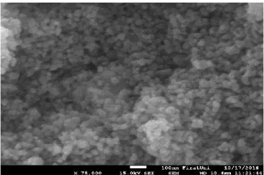 Figure 5. (d) SEM micrograph for Zn 0.4 Cd 0.4  at 75000x magnification. 