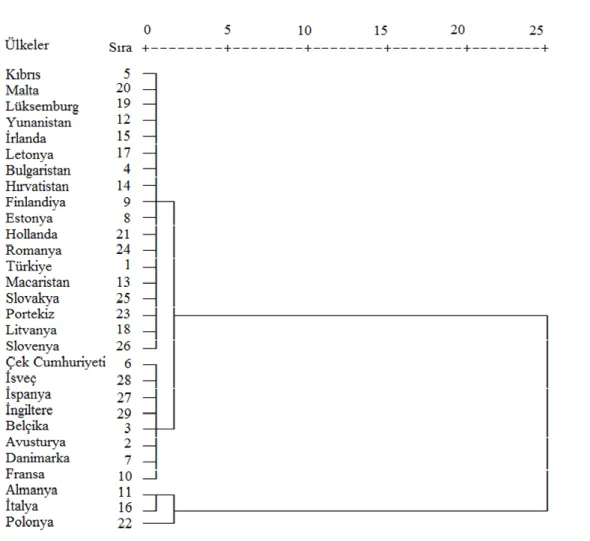 Şekil 2. İhracat verilerine ait dendogram 