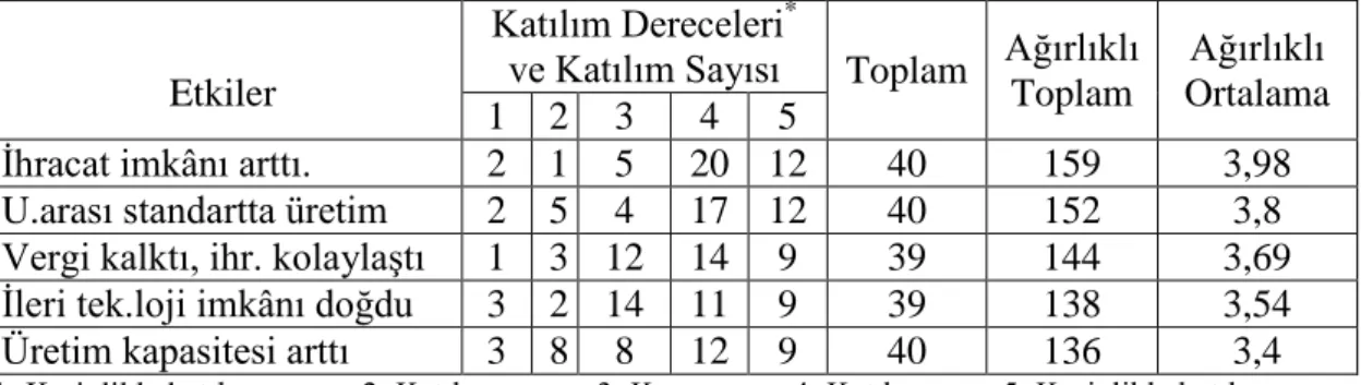 Tablo 12. Gümrük Birliği’nin olumlu etkileri 