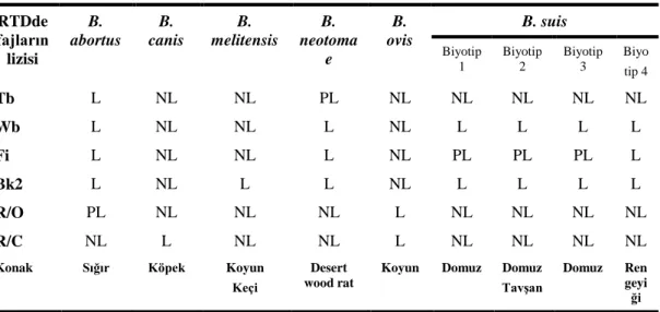 Çizelge 1.4: Brucella spp.‟lerin fajlara karĢı duyarlılıkları (Mayc ve Weyant 2003). 
