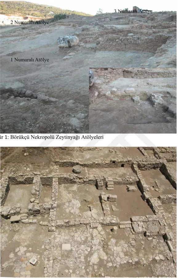 Figür 1: Börükçü Nekropolü Zeytinyağı Atölyeleri 