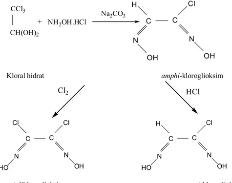 Şekil 1.8. İzonitroso oksimlerin amin ile olan reaksiyonundan oksim sentezi
