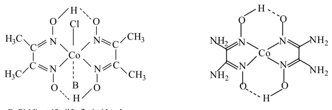 Şekil 1.18. Oktahedral dimetilglioksim ve kare düzlem diaminoglioksim kobalt kompleksi               