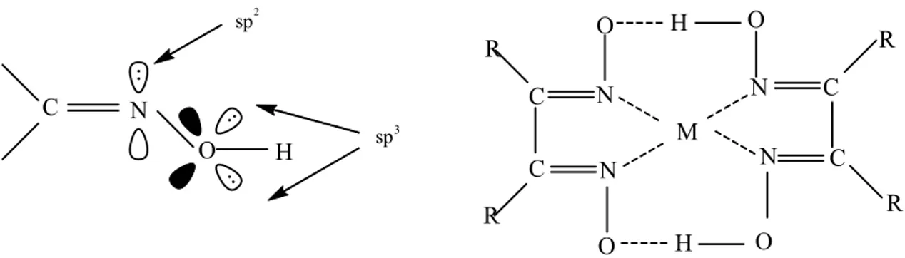 Şekil 1.19. Oksimlerin hibrit yapısı ve vic-dioksim metal komplekslerinin genel gösterimi 